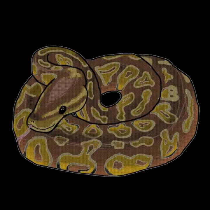 a coiled snake, hissing